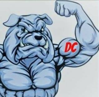 DC HAULING & JUNK REMOVAL LLC Logo